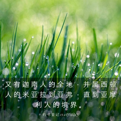 Picture 03 - 约 书 亚 记 13:4 CUVS - 又 有 迦 南 人 的 全 地 , 并 属 西 - Bible Verse Picture