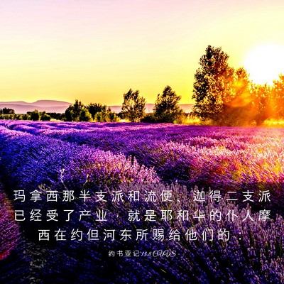 Picture 03 - 约 书 亚 记 13:8 CUVS - 玛 拿 西 那 半 支 派 和 流 便 、 迦 - Bible Verse Picture