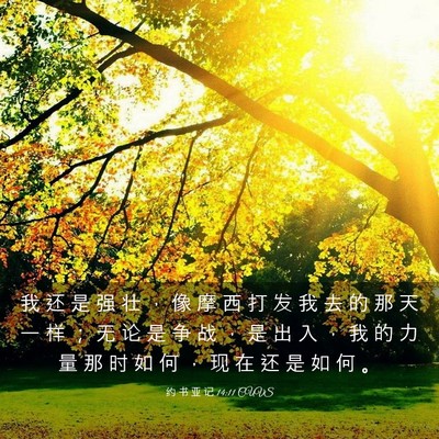 Picture 03 - 约 书 亚 记 14:11 CUVS - 我 还 是 强 壮 ， 像 摩 西 打 发 我 - Bible Verse Picture