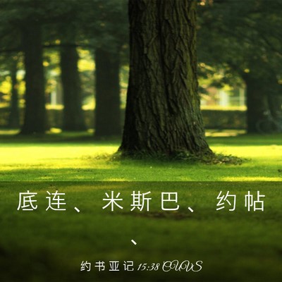 Picture 03 - 约 书 亚 记 15:38 CUVS - 底 连 、 米 斯 巴 、 约 帖 - Bible Verse Picture
