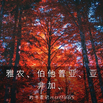 Picture 03 - 约 书 亚 记 15:53 CUVS - 雅 农 、 伯 他 普 亚 、 亚 非 加 - Bible Verse Picture