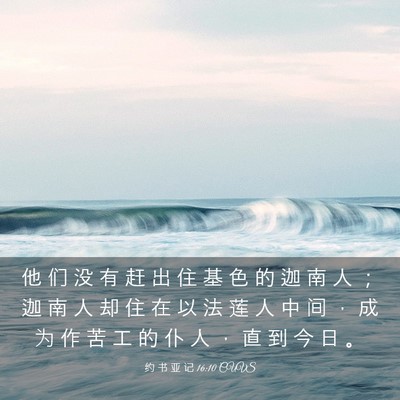 Picture 03 - 约 书 亚 记 16:10 CUVS - 他 们 没 有 赶 出 住 基 色 的 迦 南 - Bible Verse Picture