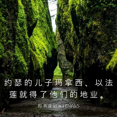 Picture 03 - 约 书 亚 记 16:4 CUVS - 约 瑟 的 儿 子 玛 拿 西 、 以 法 莲 - Bible Verse Picture