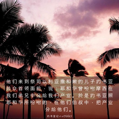 Picture 03 - 约 书 亚 记 17:4 CUVS - 他 们 来 到 祭 司 以 利 亚 撒 和 嫩 - Bible Verse Picture