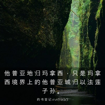 Picture 03 - 约 书 亚 记 17:8 CUVS - 他 普 亚 地 归 玛 拿 西 ， 只 是 玛 - Bible Verse Picture