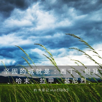Picture 03 - 约 书 亚 记 19:35 CUVS - 坚 固 的 城 就 是 ： 西 丁 、 侧 耳 - Bible Verse Picture