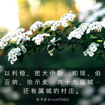 Picture 03 - 约 书 亚 记 19:38 CUVS - 以 利 稳 、 密 大 伊 勒 、 和 琏 、 - Bible Verse Picture
