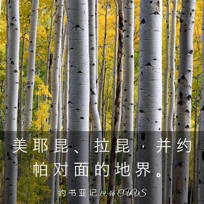 Picture 03 - 约 书 亚 记 19:46 CUVS - 美 耶 昆 、 拉 昆 ， 并 约 帕 对 面 - Bible Verse Picture