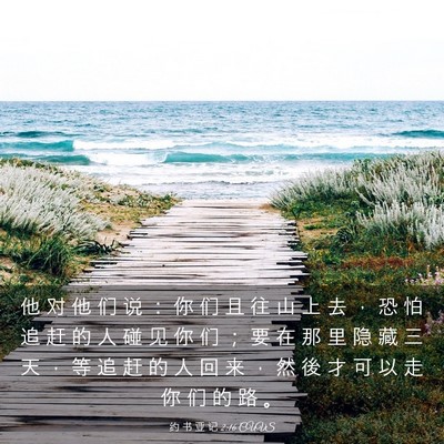 Picture 03 - 约 书 亚 记 2:16 CUVS - 他 对 他 们 说 ： 你 们 且 往 山 上 - Bible Verse Picture