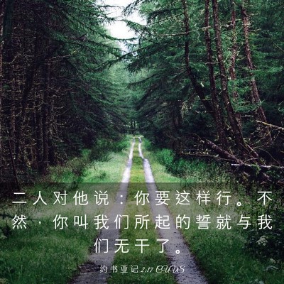 Picture 03 - 约 书 亚 记 2:17 CUVS - 二 人 对 他 说 ： 你 要 这 样 行 。 - Bible Verse Picture