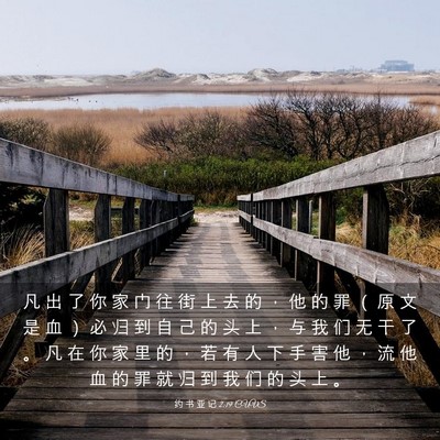 Picture 03 - 约 书 亚 记 2:19 CUVS - 凡 出 了 你 家 门 往 街 上 去 的 ， - Bible Verse Picture