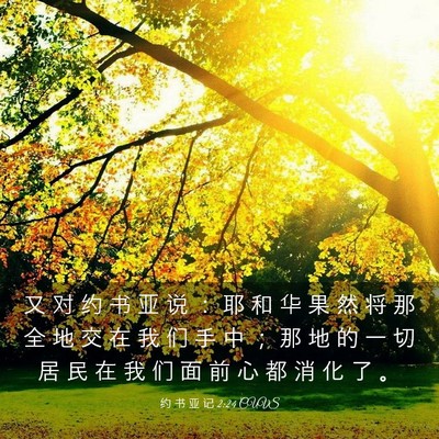Picture 03 - 约 书 亚 记 2:24 CUVS - 又 对 约 书 亚 说 ： 耶 和 华 果 然 - Bible Verse Picture