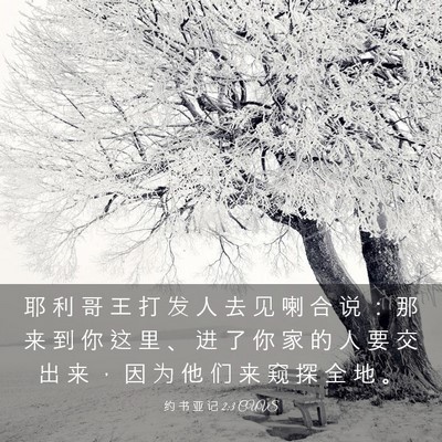 Picture 03 - 约 书 亚 记 2:3 CUVS - 耶 利 哥 王 打 发 人 去 见 喇 合 说 - Bible Verse Picture