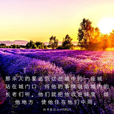 Picture 03 - 约 书 亚 记 20:4 CUVS - 那 杀 人 的 要 逃 到 这 些 城 中 的 - Bible Verse Picture