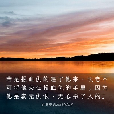 Picture 03 - 约 书 亚 记 20:5 CUVS - 若 是 报 血 仇 的 追 了 他 来 ， 长 - Bible Verse Picture