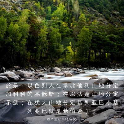 Picture 03 - 约 书 亚 记 20:7 CUVS - 於 是 ， 以 色 列 人 在 拿 弗 他 利 - Bible Verse Picture
