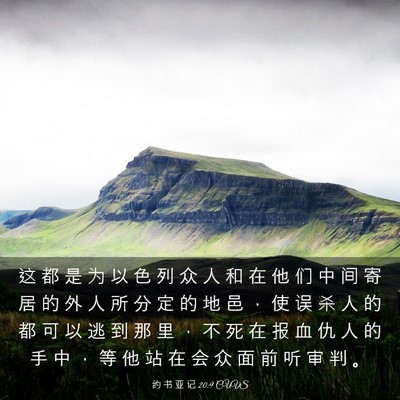 Picture 03 - 约 书 亚 记 20:9 CUVS - 这 都 是 为 以 色 列 众 人 和 在 他 - Bible Verse Picture