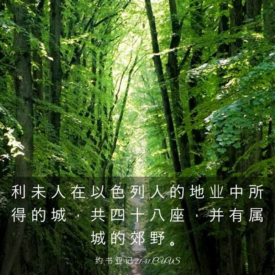 Picture 03 - 约 书 亚 记 21:41 CUVS - 利 未 人 在 以 色 列 人 的 地 业 中 - Bible Verse Picture