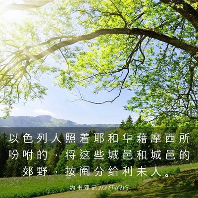 Picture 03 - 约 书 亚 记 21:8 CUVS - 以 色 列 人 照 着 耶 和 华 藉 摩 西 - Bible Verse Picture