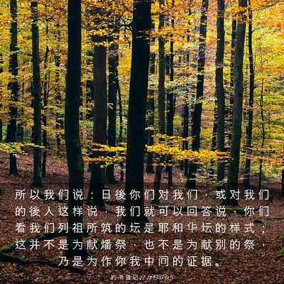 Picture 03 - 约 书 亚 记 22:28 CUVS - 所 以 我 们 说 ： 日 後 你 们 对 我 - Bible Verse Picture