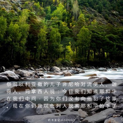 Picture 03 - 约 书 亚 记 22:31 CUVS - 祭 司 以 利 亚 撒 的 儿 子 非 尼 哈 - Bible Verse Picture