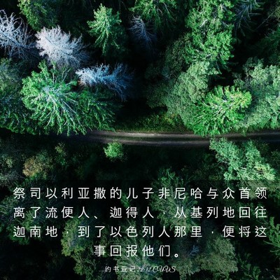 Picture 03 - 约 书 亚 记 22:32 CUVS - 祭 司 以 利 亚 撒 的 儿 子 非 尼 哈 - Bible Verse Picture
