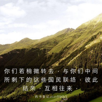 Picture 03 - 约 书 亚 记 23:12 CUVS - 你 们 若 稍 微 转 去 ， 与 你 们 中 - Bible Verse Picture