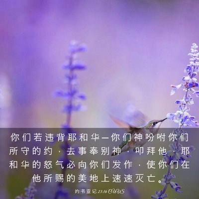 Picture 03 - 约 书 亚 记 23:16 CUVS - 你 们 若 违 背 耶 和 华 ─ 你 们 神 - Bible Verse Picture