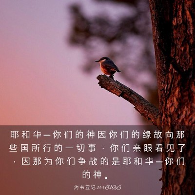 Picture 03 - 约 书 亚 记 23:3 CUVS - 耶 和 华 ─ 你 们 的 神 因 你 们 的 - Bible Verse Picture