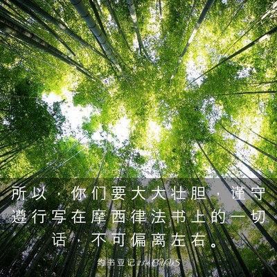 Picture 03 - 约 书 亚 记 23:6 CUVS - 所 以 ， 你 们 要 大 大 壮 胆 ， 谨 - Bible Verse Picture