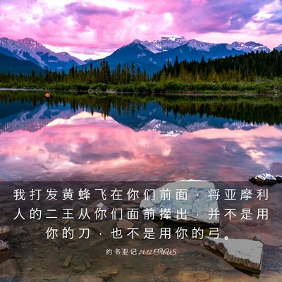 Picture 03 - 约 书 亚 记 24:12 CUVS - 我 打 发 黄 蜂 飞 在 你 们 前 面 ， - Bible Verse Picture