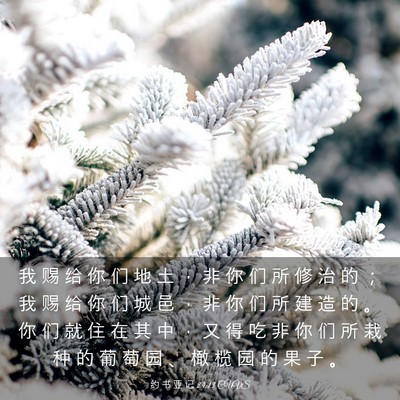 Picture 03 - 约 书 亚 记 24:13 CUVS - 我 赐 给 你 们 地 土 ， 非 你 们 所 - Bible Verse Picture