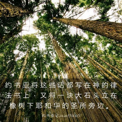 Picture 03 - 约 书 亚 记 24:26 CUVS - 约 书 亚 将 这 些 话 都 写 在 神 的 - Bible Verse Picture