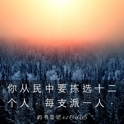 Picture 03 - 约 书 亚 记 4:2 CUVS - 你 从 民 中 要 拣 选 十 二 个 人 , - Bible Verse Picture