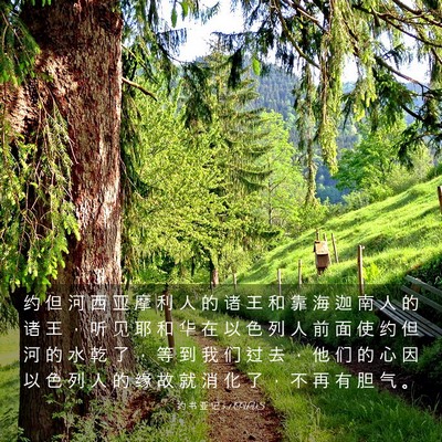Picture 03 - 约 书 亚 记 5:1 CUVS - 约 但 河 西 亚 摩 利 人 的 诸 王 和 - Bible Verse Picture