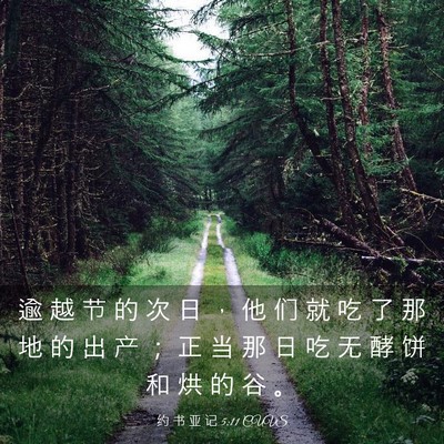 Picture 03 - 约 书 亚 记 5:11 CUVS - 逾 越 节 的 次 日 ， 他 们 就 吃 了 - Bible Verse Picture