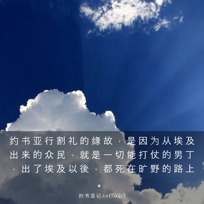 Picture 03 - 约 书 亚 记 5:4 CUVS - 约 书 亚 行 割 礼 的 缘 故 ， 是 因 - Bible Verse Picture