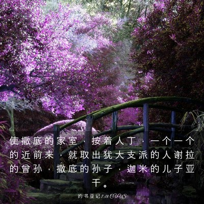 Picture 03 - 约 书 亚 记 7:18 CUVS - 使 撒 底 的 家 室 ， 按 着 人 丁 ， - Bible Verse Picture