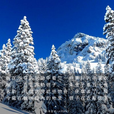 Picture 03 - 约 书 亚 记 7:21 CUVS - 我 在 所 夺 的 财 物 中 看 见 一 件 - Bible Verse Picture