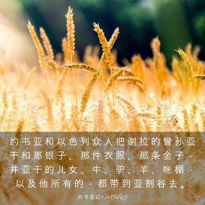 Picture 03 - 约 书 亚 记 7:24 CUVS - 约 书 亚 和 以 色 列 众 人 把 谢 拉 - Bible Verse Picture