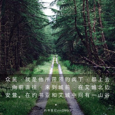 Picture 03 - 约 书 亚 记 8:11 CUVS - 众 民 ， 就 是 他 所 带 领 的 兵 丁 - Bible Verse Picture