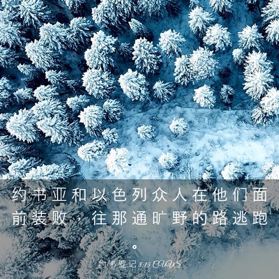 Picture 03 - 约 书 亚 记 8:15 CUVS - 约 书 亚 和 以 色 列 众 人 在 他 们 - Bible Verse Picture