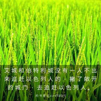 Picture 03 - 约 书 亚 记 8:17 CUVS - 艾 城 和 伯 特 利 城 没 有 一 人 不 - Bible Verse Picture