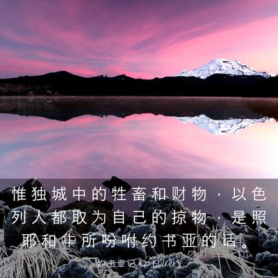 Picture 03 - 约 书 亚 记 8:27 CUVS - 惟 独 城 中 的 牲 畜 和 财 物 ， 以 - Bible Verse Picture