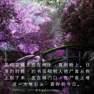 Picture 03 - 约 书 亚 记 8:29 CUVS - 又 将 艾 城 王 挂 在 树 上 ， 直 到 - Bible Verse Picture