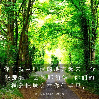 Picture 03 - 约 书 亚 记 8:7 CUVS - 你 们 就 从 埋 伏 的 地 方 起 来 ， - Bible Verse Picture