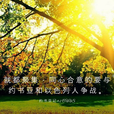 Picture 03 - 约 书 亚 记 9:2 CUVS - 就 都 聚 集 ， 同 心 合 意 的 要 与 - Bible Verse Picture