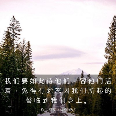 Picture 03 - 约 书 亚 记 9:20 CUVS - 我 们 要 如 此 待 他 们 ， 容 他 们 - Bible Verse Picture