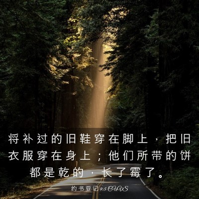 Picture 03 - 约 书 亚 记 9:5 CUVS - 将 补 过 的 旧 鞋 穿 在 脚 上 ， 把 - Bible Verse Picture