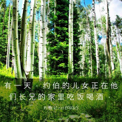 Picture 03 - 约 伯 记 1:13 CUVS - 有 一 天 ， 约 伯 的 儿 女 正 在 他 - Bible Verse Picture